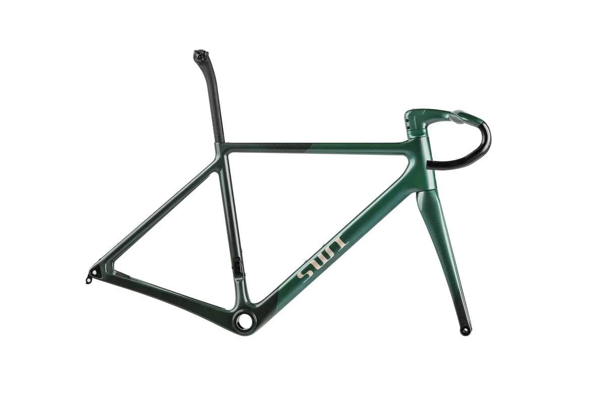 SWI official frameset finish preview — PAINTED: Forest Ghost