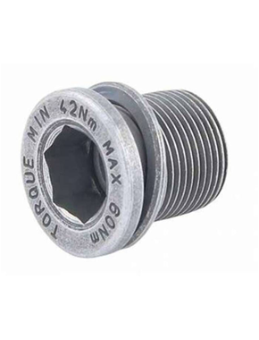 Campagnolo Crank Fixing Bolts