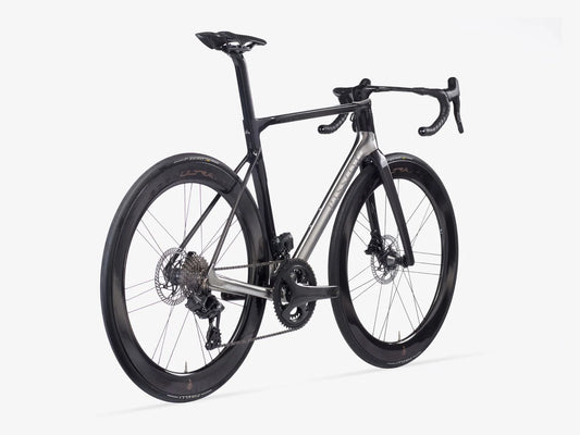 PASSONI ANIMUS TITANIUM - FRAMESET