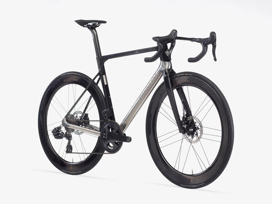 PASSONI ANIMUS TITANIUM - FRAMESET