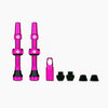 MUC-OFF TUBELESS VALVES